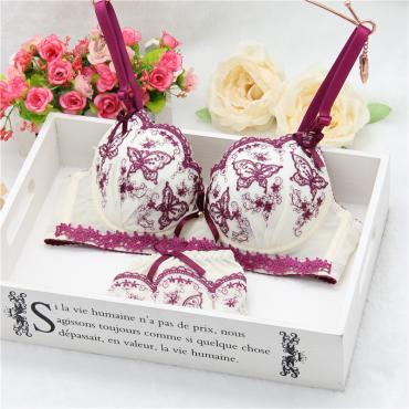 förderung Damen Büstenhaltersatz push up sexy BH Damen dessous Set mit BH und Höschen Damen Unterwäsche