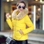 Herbst und Winter Jacke Damen Mantel Parka Pelzkragen Grösse Damen Baumwolle Gepolsterte  Jacke Mantel Bonbonfarben