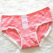 heiße Damen Verkaufen Hochwertige Baumwolle Unterwäsche slips Damen süße kleine daisy Baumwolle komfort Spitze sexy