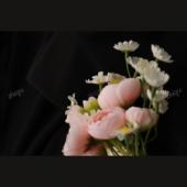 Manufacturer wholesale spot gold velvet thick-processed polyester clothing accessories toys digital printing