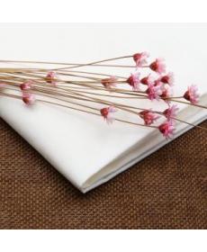 Spot white cloth wholesale 100% cotton 40 count high-density plain cotton bleached cloth spring and summer shirt fabric 