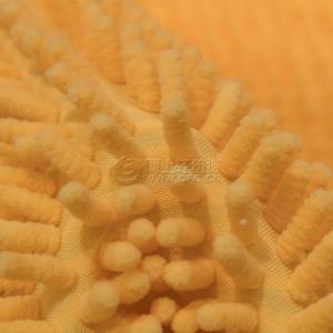 Factory direct sales of 100% polyester cleaning fabric, lazy slipper fabric, chenille mop fabric wholesale